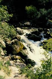 We did not find results for: Uberlauf Aus Der Quelle Der Fontaine De Vaucluse Das Flusschen Sorgue Ist Geboren Anfang Mai 1994 Landschaftsfotos Eu
