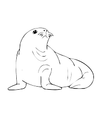 We have different categories that include: Marine Animals 22045 Animals Printable Coloring Pages