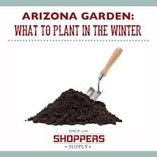 When i tell people i live in arizona, they say, oh, i wouldn't like that. Arizona Garden What To Plant In The Winter Shoppers Supply