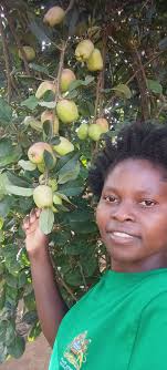 I love my work We have different seedlings available in large quantities  Location Awka anambra state 070 3135 8783