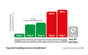 Die kritische phase, in der eine befruchtung stattfinden kann, beginnt etwa sechs tage vor und endet einen tag nach dem eisprung. 24h Prinzip Der Pille Danach Wirkung In Den Ersten 24 Stunden