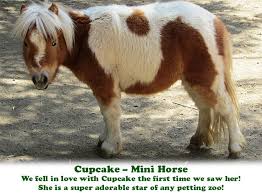 Maybe you would like to learn more about one of these? Petting Zoo Animal Shows Los Angeles