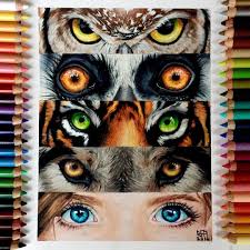Drawing Art By Sydney Nielsen Prismacolor Art Realistic Art Art