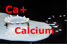 People are breaking up with dairy for several reasons these days. Calcium Rich Foods All You Need To Know Including Dairy Free Sources