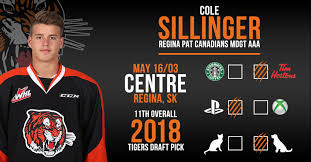 His offensive mindfulness offers a balance of goal scoring and playmaking throughout his time in the whl and ushl. In The Cards Q A With Cole Sillinger Medicine Hat Tigers