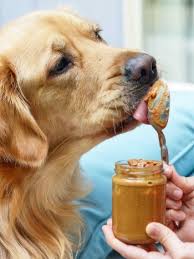 Cats should not eat peanut butter. What Kind Of Peanut Butter Is Safe For Dogs