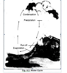 Maybe you would like to learn more about one of these? Ncert Solutions For Class 7 Geography Social Science Chapter 5 Water