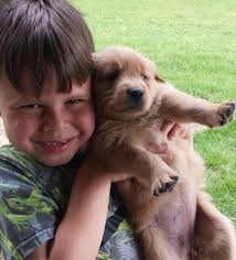 Tomorrow we are putting our girl Molly down. Cancer has finally caught up  to her. She has put up a fight for 2 years and made it to the age of 13