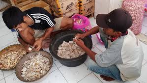 Untuk mempersiakan lahan menanam bawang putih, caranya adalah dengan membersihkan lahan dari. Harga Bawang Putih Kembali Normal Radarcirebon Com
