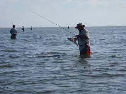 Maybe you would like to learn more about one of these? Lined Up Wading And Stringing Fish Port Mansfield Tx S S Guide Service Travel Bucket List Travel List Fish