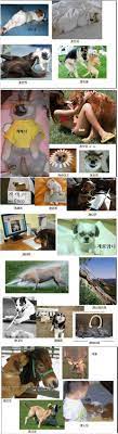 네이버 뿜