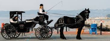 Victoria Carriage Tours - Tour ...