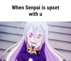 Anime No Game No Life Anime Memes Otaku Anime Anime Funny