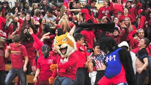 Tigers thrash Falcons