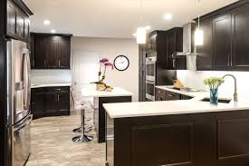 Fabuwood Cabinetry Galaxy Espresso Kitchen Remodel Style Wholesale Kitchen Cabinets New Kitchen Cabinets Shaker Kitchen Cabinets