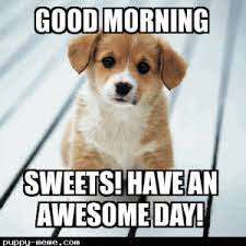 Good Morning Memes 1400671129860 Funny Good Morning Memes Morning Memes Good Morning Funny