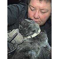 Wolf King (Wolves of the Night, #1) by Lindsey Devin