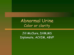 Ppt Abnormal Urine Color Or Clarity Powerpoint