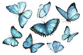 Illustration about watercolor blue butterfly on white background. Set Of Watercolor Blue Butterflies Butterfly Illustration Butterfly Watercolor Blue Butterfly