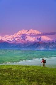 View Of Mt Mckinley In Background Denali National Park Interior Alaska Denali Alaska Denali National Park Alaska Travel