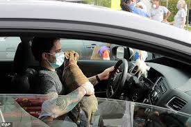 The food bank accepts donations of pet food so that people in need don't need to relinquish their furry friends while experiencing hard times. Pet Owners Line Up At Food Banks In Florida Sound Health And Lasting Wealth