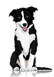 Black And White Collie Dog Clipart Dog Vector Drawing Black And White Cartoon Shaggy Dog Full Length Dog Vector Black And White Cartoon Cartoon Drawings Of Animals