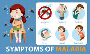 Zoeken binnen cartoon illustratie zoekplaat stockillustratie strip. Free Vector Symptoms Of Malaria Cartoon Style Infographic