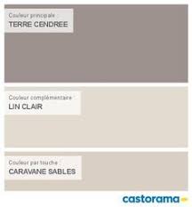 Castorama Nuancier Peinture Mon Harmonie Peinture Terre Cendree Satin De Dulux Valentine Creme De Couleur Nuancier Peinture Peinture Mur Deco Peinture Salon