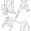 Main things to remember for drawing the torso: 1