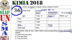 Yuk kita pelajari soal un fisika tentang momentum sudut dan pembahasannya berikut ini. Prediksi Un Kimia Sma 2018 Paket A Pembahasan No 36 Uji Protein Youtube