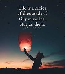 Life Is A Series Of Thousands Of Tiny Miracles Quotes Awesome Inspirational Positive Quotes Life Is A Series Of Thousands Of Tiny Miracles Life Tiny Miracles Miracles