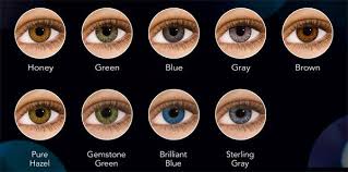 From Our Family To Yours Contact Lenses Colored Colored Contacts Colored Eye Contacts