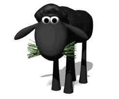 Black Sheep Gifs Get The Best Gif On Gifer Download 32,014 sheep clip art and illustrations. black sheep gifs get the best gif on