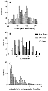 Jun 10, 2021 · the levin brothers show at kennett flash on june 12 will start at 7 p.m. Human Skeletal Muscle Fibres Molecular And Functional Diversity Sciencedirect