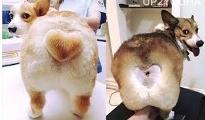 Jul 11, 2019 · 눈썹문신 가격 15~19 만원(리터치 포함, 서울 왕십리 부근, 부산, 목포 등) 23~27 만원(리터치 포함, 병의원)(유명한 곳으로는 '리앤채*', '비앤*'가 있다.) 서울은 기본 20만원이 넘는 듯하다. ì™€ì´ê³ ìˆ˜ í•˜íŠ¸ëª¨ì–' ë¸Œë¼ì§ˆë¦¬ì–¸ ì™ì‹±