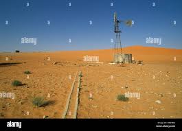 Image result for Nolletia arenosa