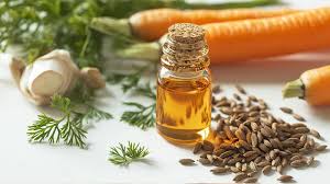 carrot-seed-oil