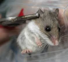 Image result for intuitivefred888