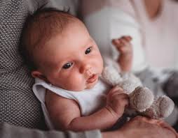 Life of Us Photography