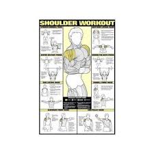 shoulder exercise charts amazon com