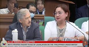 LOOK: 'THEY SPLICED THE VIDEO' Sarah Discaya said that the video interview  she had was “spliced,” following the inquiry of Senator Tito Sotto on how  they acquired billions after engaging with DPWH. “
