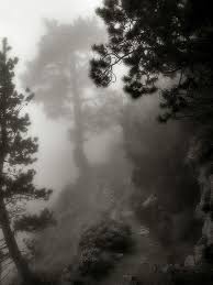 Beautiful Black And White Nature Photos Beautiful Black And White Nature Photography Web Design Ledger Photography Inspiration Nature Nature Photography Nature