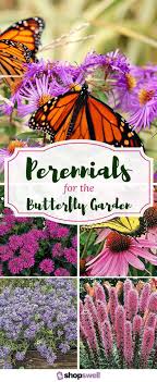 12 Beautiful Perennials For The Butterfly Garden Hummingbird Garden Beautiful Gardens Plants
