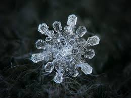 Browse millions of popular galaxy wallpapers and ringtones on zedge and personalize your phone to suit you. Real Snowflake