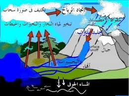 الماء والحيــــــــاة م جمال حافظ