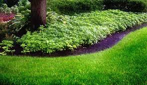Residential lawn care & mowing services columbus, ohio. Lawn Care In Columbus Oh Landscaping 365