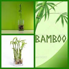 Greenzoner Egypt Feng Shui علم طاقة المكان موضوع كامل Feng Shui Fung Shui Peace And Love