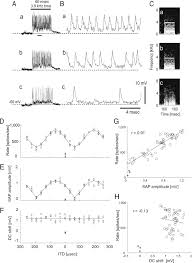Our systems come with very modern readout electronics packages, enabling highest count rate linearity, extremely low dark counts, and live imaging due to the highest available data. Computation Of Interaural Time Difference In The Owl S Coincidence Detector Neurons Journal Of Neuroscience