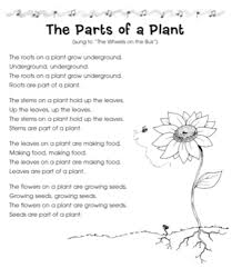 The Parts Of A Plant Song To The Tune Of The Wheels On The Bus Plant Song Parts Of A Plant Plant Lessons