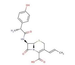 Image result for Cefprozil
